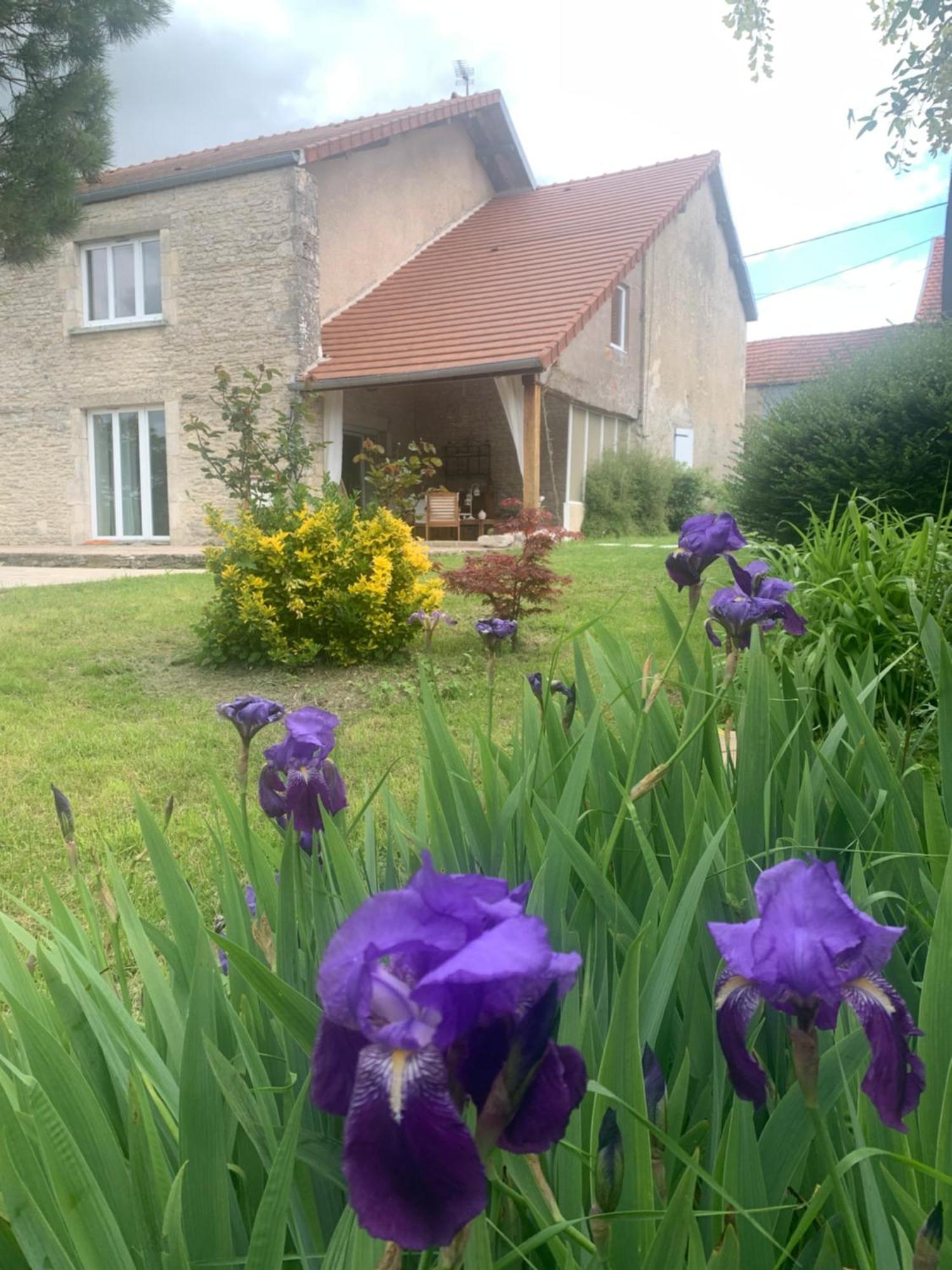 Maison Mard'Or Chambre Plume Mardor Exterior photo